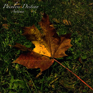 美女裸体㊙️撒尿偷拍
